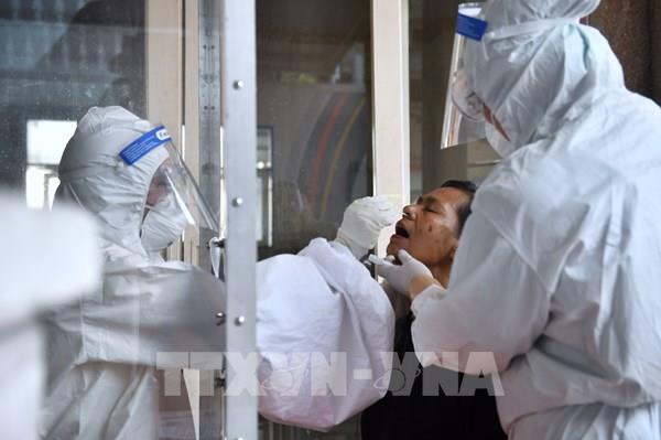 Thái Lan thử nghiệm mẫu vaccine mRNA trên khỉ đuôi ngắn