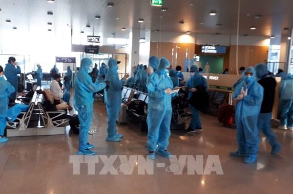 Đưa hơn 300 công dân Việt Nam từ Thụy Điển và Phần Lan về nước