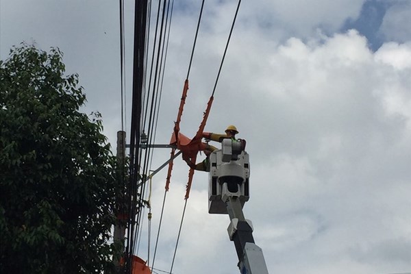 Lịch ngừng cung cấp điện Bình Dương ngày mai 19/11