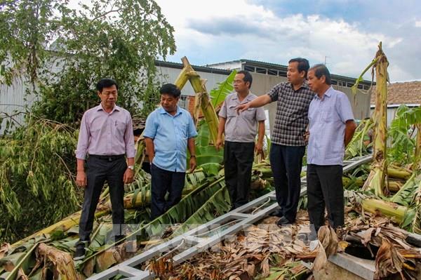 Cần Thơ: Dông lốc làm gãy trụ điện, cây xanh bật gốc hàng loạt