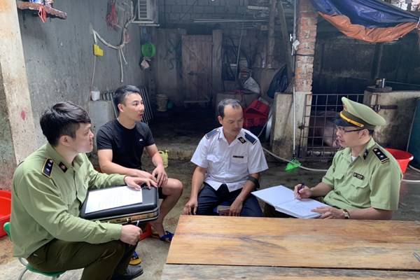 Lực lượng quản lý thị trường Lạng Sơn đồng loạt kiểm tra cơ sở giết mổ lợn
