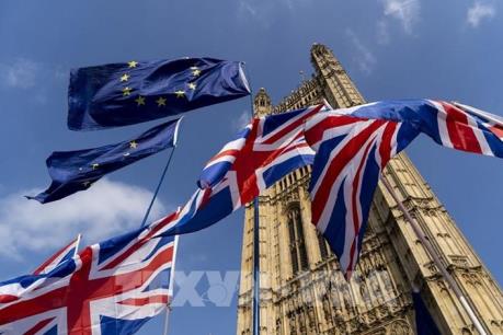 Vương quốc Anh: Brexit “cứng” hay COVID-19 đáng lo ngại hơn?