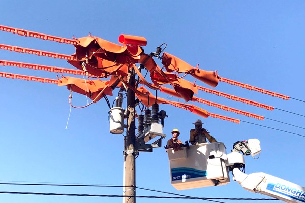 Lịch cắt điện Đồng Nai ngày mai 9/8 cập nhật mới nhất