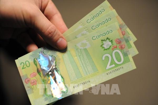Đồng nội tệ của Canada lên giá mạnh so với đồng USD