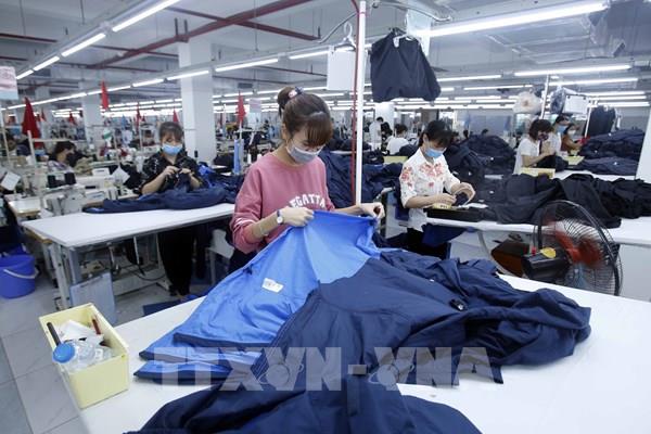 "EVFTA không phải bàn tiệc được dọn sẵn"