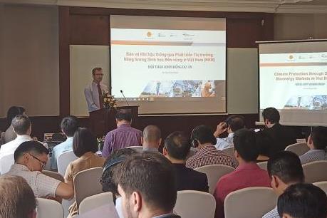 Đẩy mạnh phát triển điện sinh khối tại Việt Nam 
