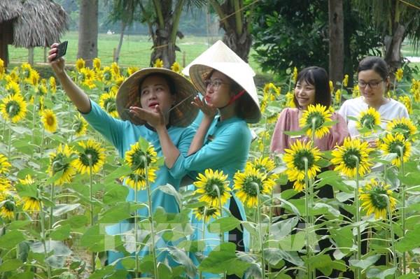 "Bắt tay" kích cầu du lịch từ thị trường nội địa