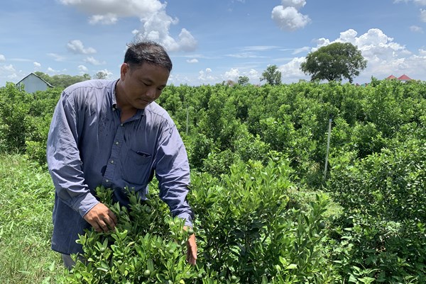 Quỹ hỗ trợ nông dân Long An tăng gấp gần 6 lần trong 10 năm