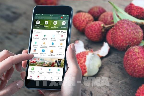Kỷ lục mỗi giờ bán hơn 1 tấn quả vải trên ví MoMo