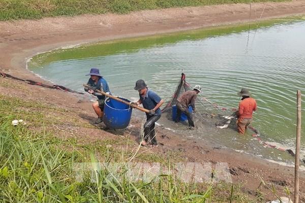 Tìm đầu ra cho hàng hóa kinh tế tập thể