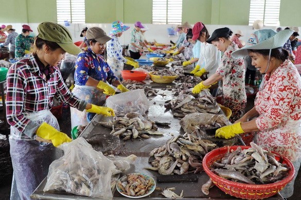 Làm sao để hỗ trợ tăng nguồn lực cho doanh nghiệp, kích cầu nội địa?