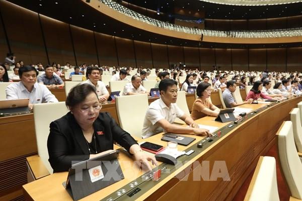 Không đưa hộ kinh doanh vào Luật Doanh nghiệp (sửa đổi)