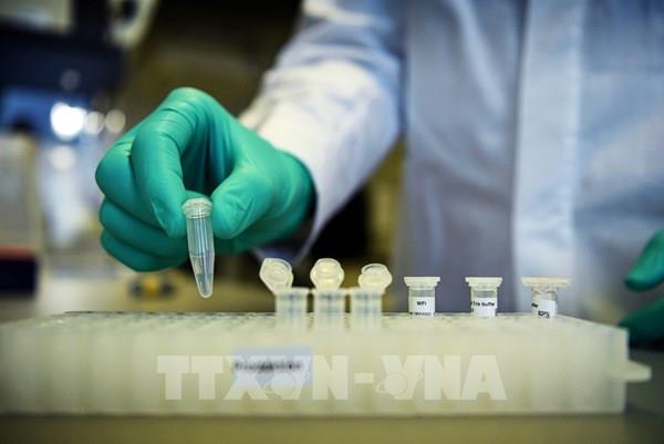 EU cố gắng đảm bảo nguồn cung vaccine ngừa virus SARS-CoV-2