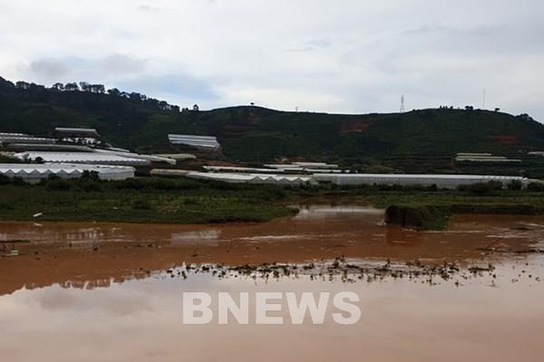 Dừng tất cả các cự ly của Giải siêu marathon quốc tế Dalat Ultra Trail 2020