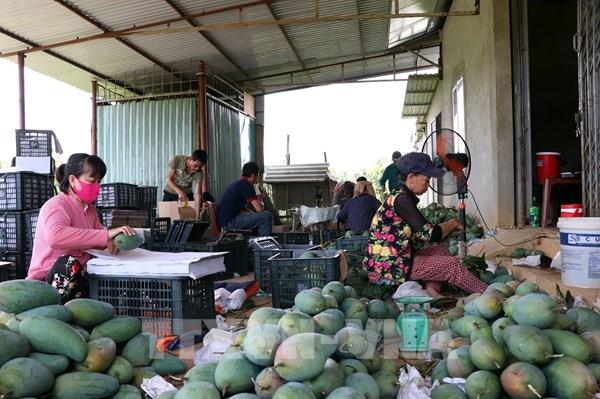 25 năm thiết lập quan hệ ngoại giao Việt Nam - Hoa Kỳ: Hướng tới sự cân bằng