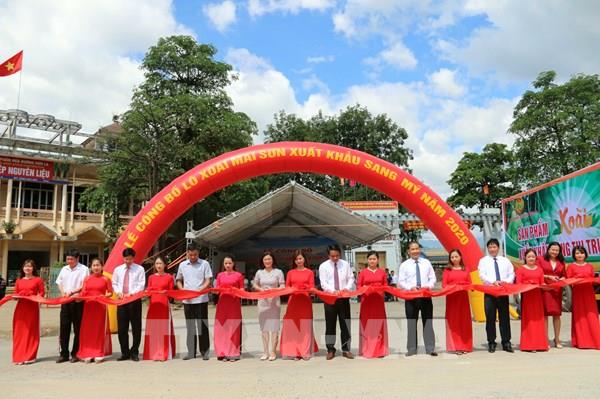 Sơn La xuất khẩu 30 tấn xoài sang thị trường Hoa Kỳ