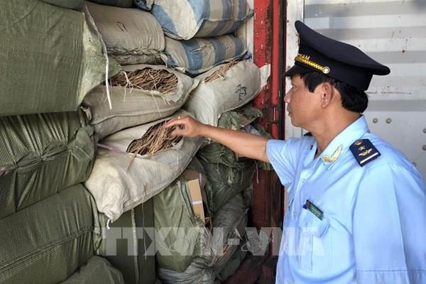 Ngăn chặn dược liệu nhập lậu qua biên giới