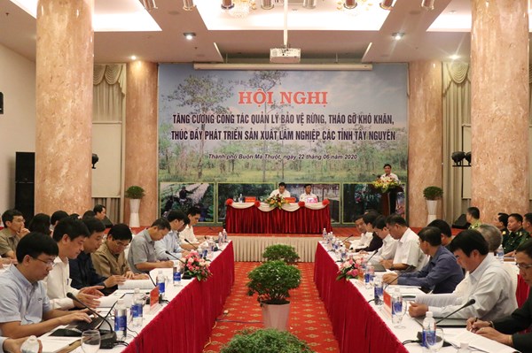 Xác định rõ trách nhiệm từng đơn vị trong bảo vệ và phát triển rừng