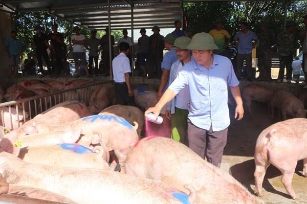 Lợn Thái Lan nhập về được bán hết ngay với giá 90.000 đồng/kg hơi