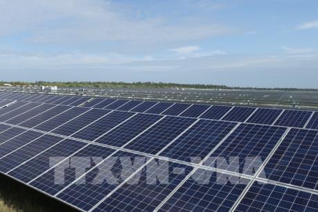 Chuyên gia: Trung Quốc có thể dẫn đầu thế giới về việc chuyển dịch sang năng lượng xanh