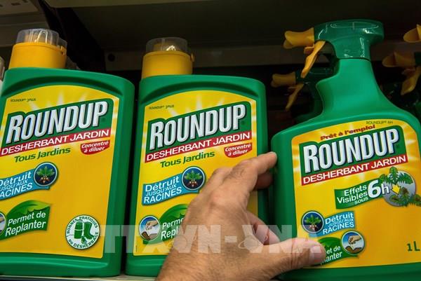 Bayer chi gần 10 tỷ euro giải quyết các vụ kiện liên quan thuốc diệt cỏ Roundup