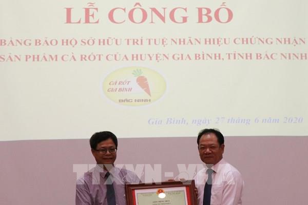 Bảo hộ sở hữu trí tuệ nhãn hiệu cho Cà rốt Gia Bình