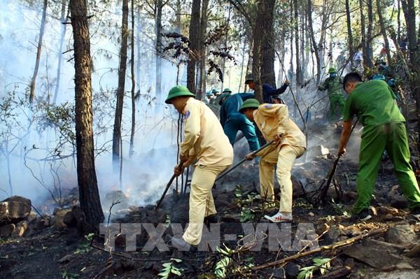 Nghệ An đã kiểm soát cháy rừng, không để cháy lan đến nhà dân