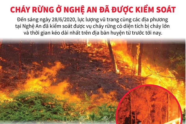 Cháy rừng ở Nghệ An đã được kiểm soát
