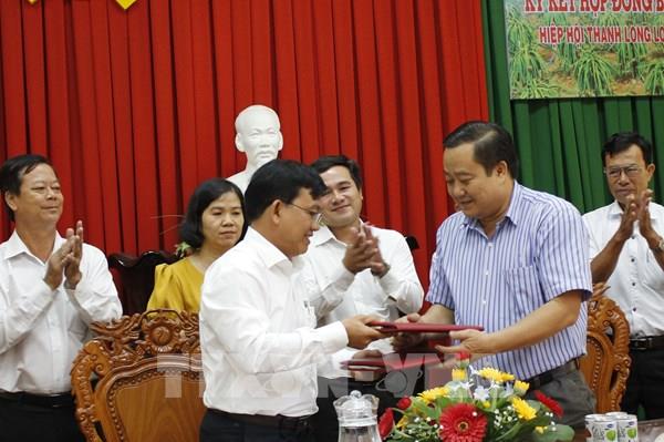 Long An: Doanh nghiệp ký kết bao tiêu thanh long ruột đỏ