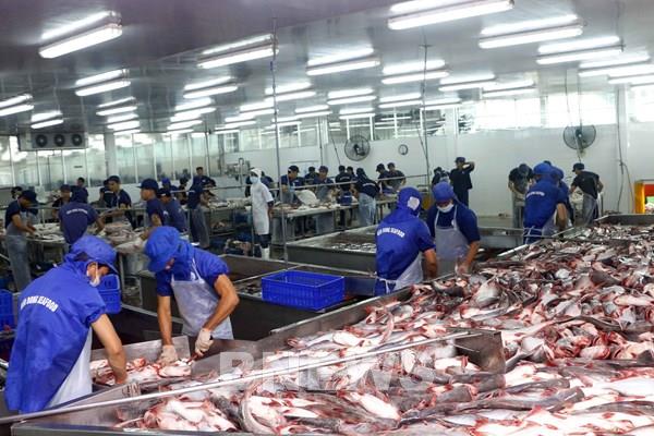 Xuất khẩu thủy sản chững lại vì dịch COVID-19