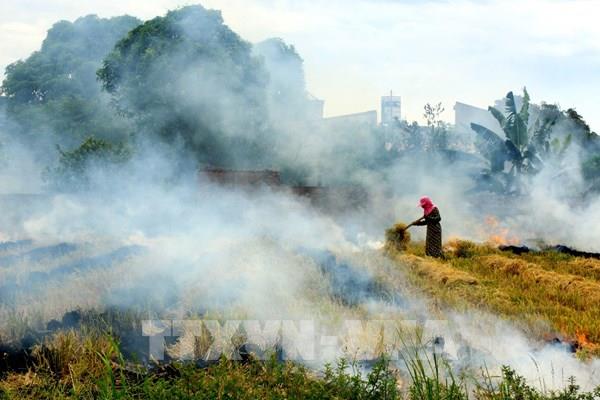Mục tiêu “Thành phố không đốt rơm rạ” của Hà Nội chưa thành hiện thực