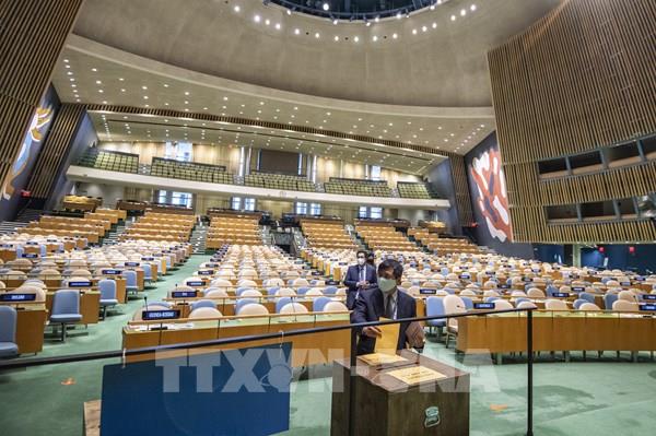 Việt Nam khẳng định vai trò tích cực, chủ động trong Hội đồng Bảo an LHQ