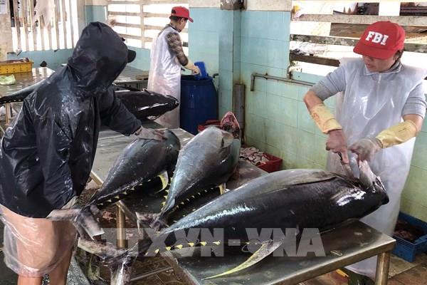 Bình Định hoàn thành các mục tiêu khắc phục cảnh báo “thẻ vàng”