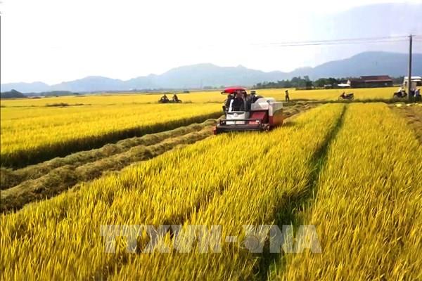 Cơ khí nông nghiệp: Việt Nam đang ở vị trí nào?