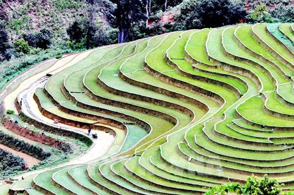 Du lịch Việt Nam nắm bắt xu hướng, sẵn sàng bứt phá
