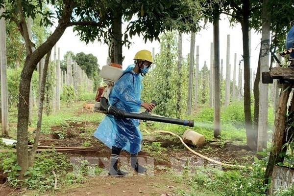 Học sinh nghỉ học để phòng, chống bạch hầu lây lan