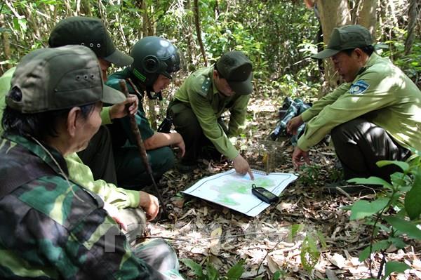 Theo chân “biệt đội phá bẫy”, cứu thú tại Khu bảo tồn thiên nhiên Sơn Trà