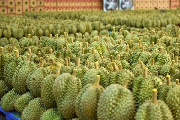 Thái Lan sẽ ký nghị định thư về xuất khẩu trái cây với Trung Quốc