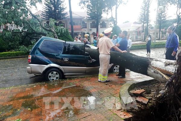Dự báo thời tiết hôm nay: Đề phòng lốc, sét và gió giật mạnh ở Tây Nguyên và Nam Bộ