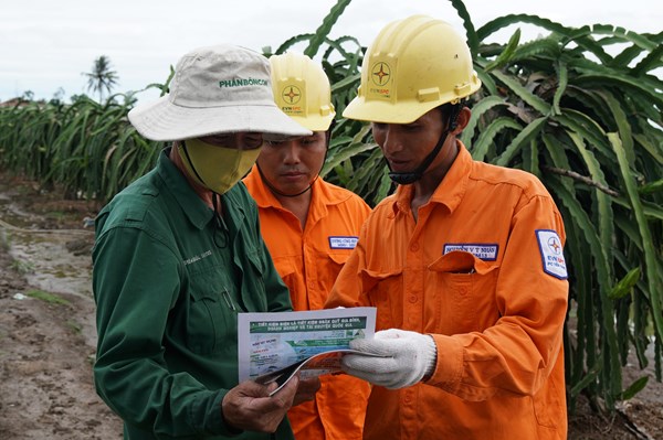 Báo động vi phạm an toàn lưới điện mùa mưa bão