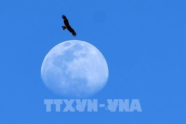 Nhật Bản chuẩn bị cho kế hoạch đưa phi hành gia lên Mặt Trăng lần đầu tiên