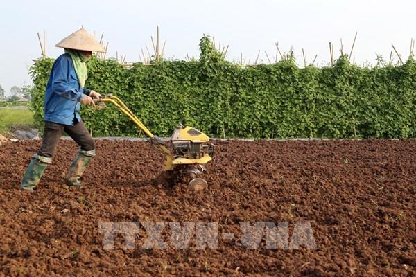 Thế khó trong cơ giới hóa sản xuất lúa các tỉnh phía Bắc
