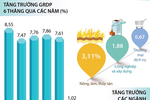 6 tháng năm 2020: GRDP TP Hồ Chí Minh tăng 1,02%