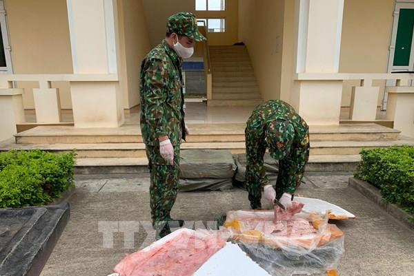 Liên tiếp thu giữ nhiều gà giống và nầm lợn nhập lậu