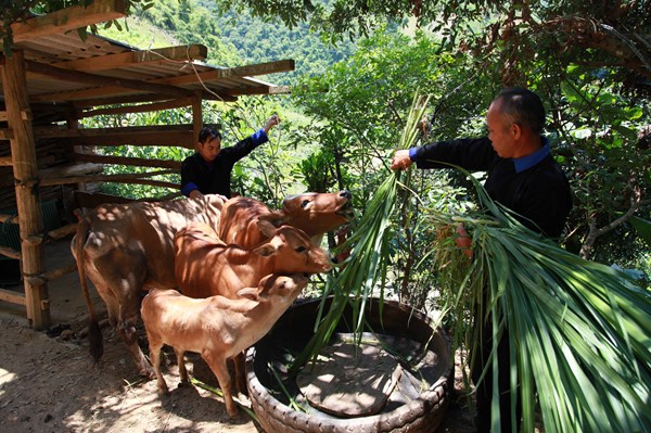 Điểm sáng trong chính sách giảm nghèo