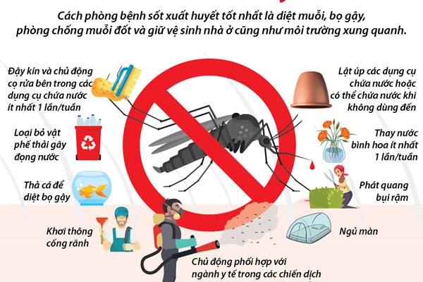 Các cách phòng chống sốt xuất huyết