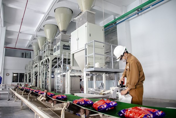 Yếu tố nào giúp Hóa chất Đức Giang tăng trưởng mạnh?