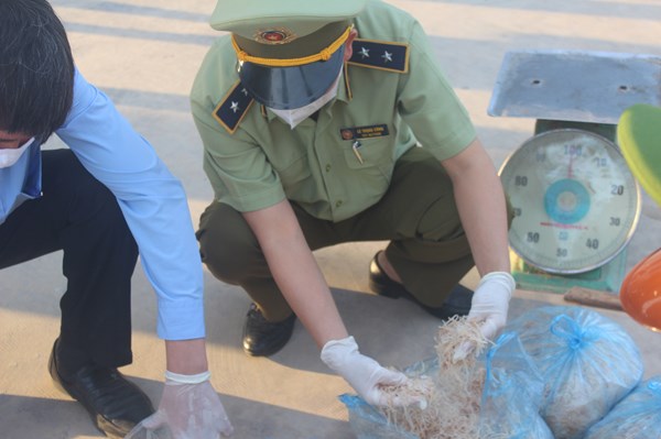 Xử phạt vận chuyển sản phẩm động vật không đảm bảo vệ sinh thú y 