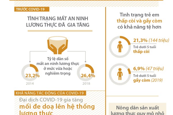 COVID-19 gia tăng thách thức đối với an ninh lương thực thế giới