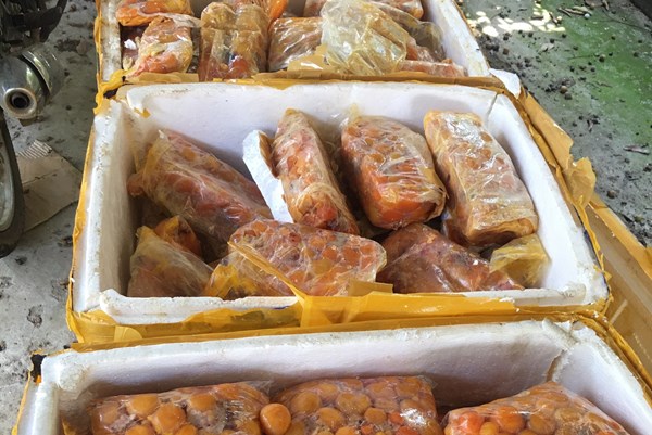 Tạm giữ gần 290 kg trứng gà non không rõ nguồn gốc xuất xứ